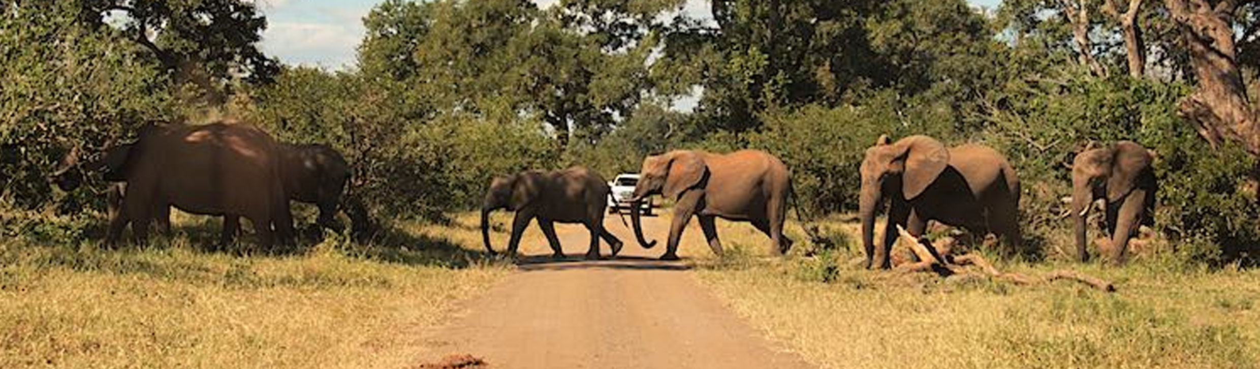 kruger-park-tours-southern-african-tours