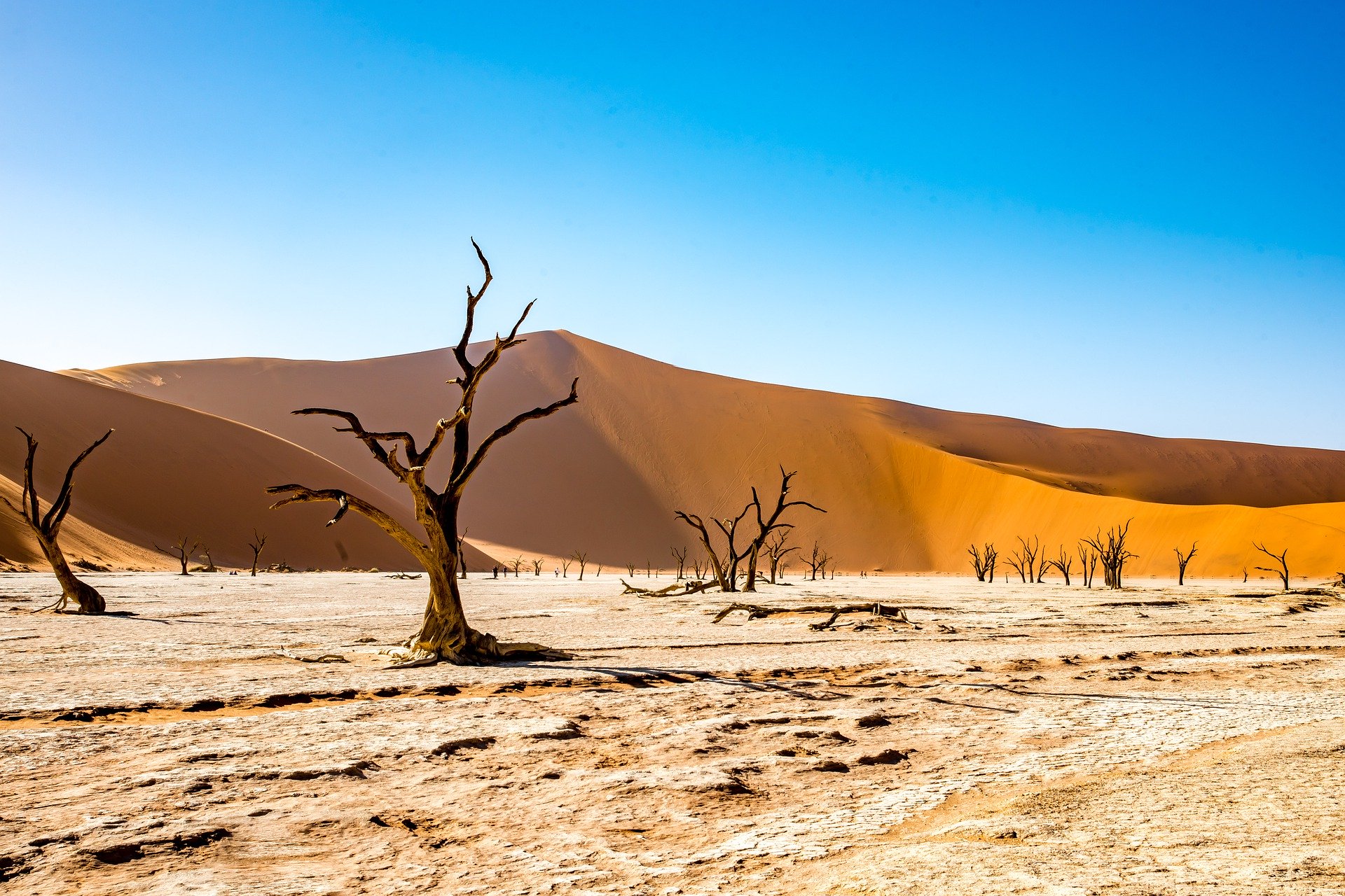 namibia southern african tours