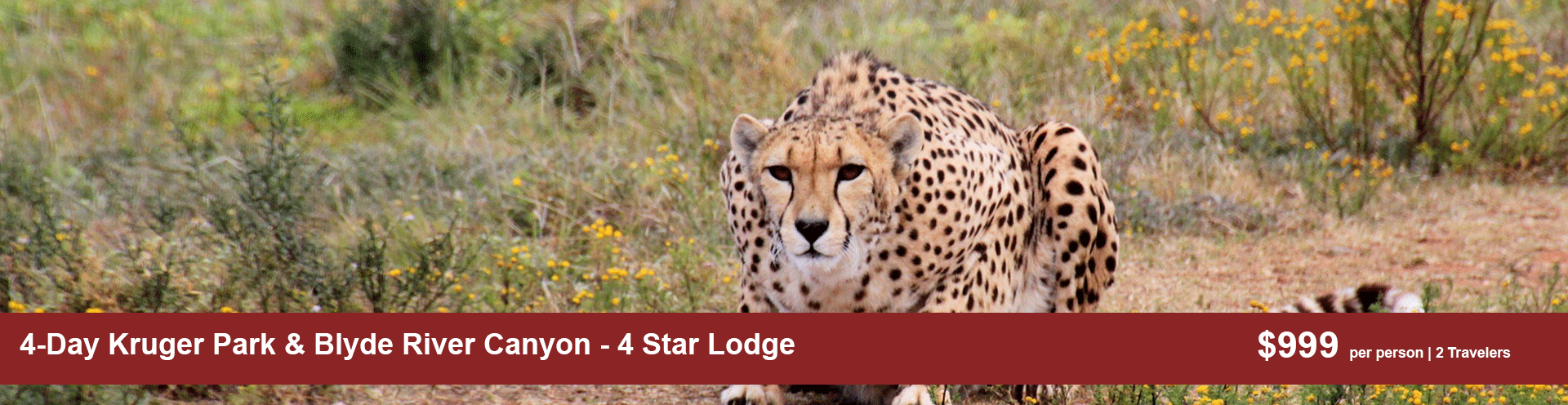 4-Day Kruger Park & Blyde River Canyon - 4 Star Lodge