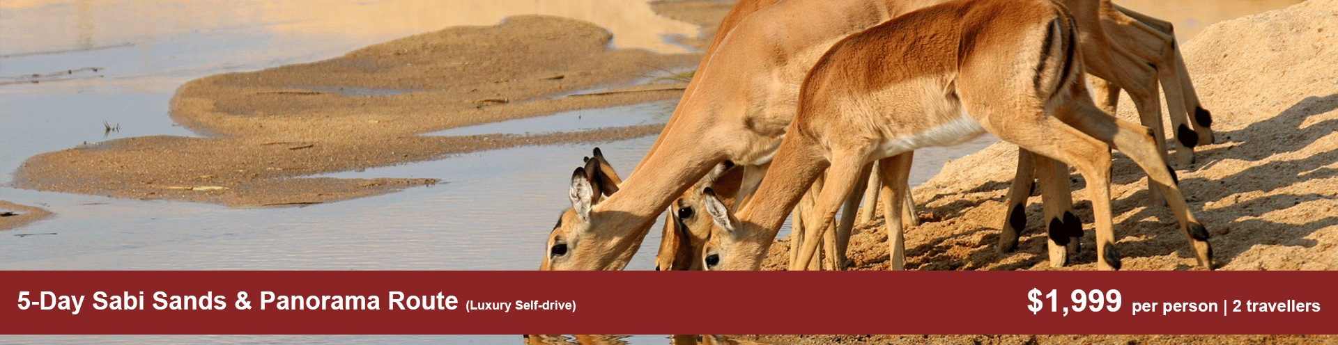 5-Day-Sabi-Sands-&-Panorama-Route-(Luxury-Self-drive)